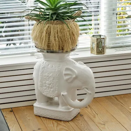 Casa La Cascara Lägenhet Zandvoort